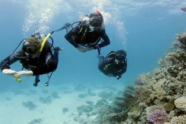 Diving Adventure – Discover the Red Sea - Photo 4