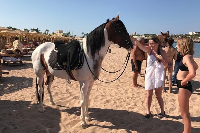Horse Riding Safari Adventure from Hurghada - Photo 1