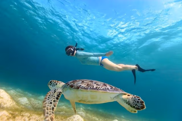 Marsa Alam Abu Dabbab Beach Day Trip (Minibus / Bus) - Photo 3