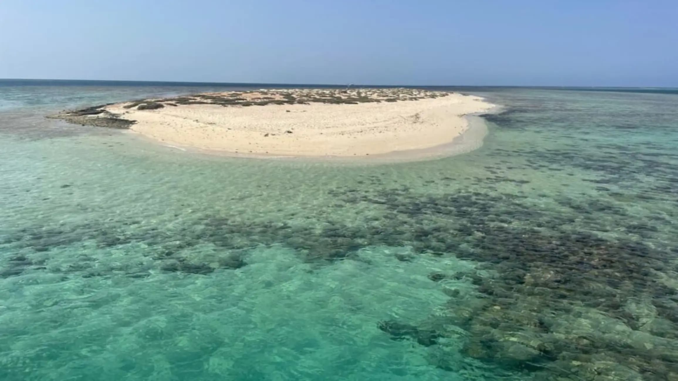 Wadi El Gemal National Park – Full Day Beach & Nature Tour