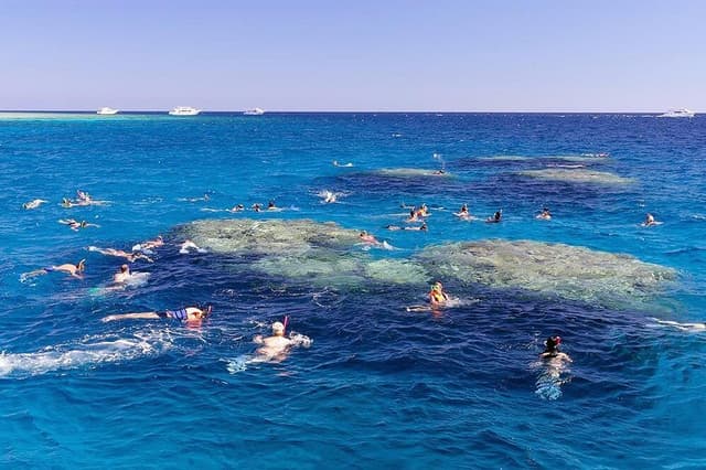 White Island – Snorkeling & Beach Paradise - Photo 12